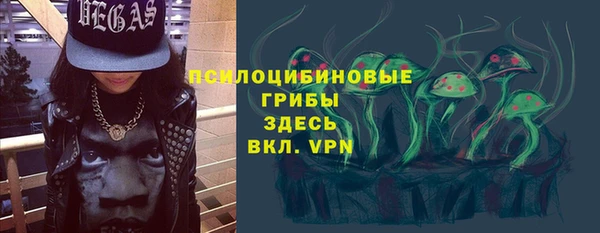 мяу мяу мука Бородино