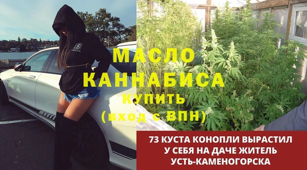 мяу мяу мука Бородино