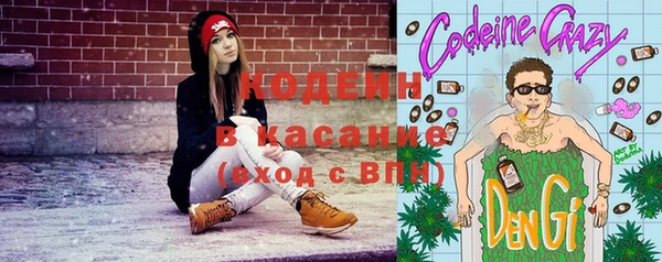 spice Богородск