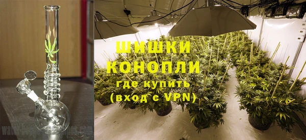 мяу мяу мука Бородино