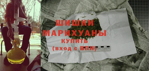 мдпв Бронницы