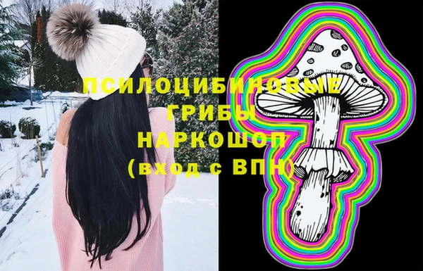 мдпв Бронницы