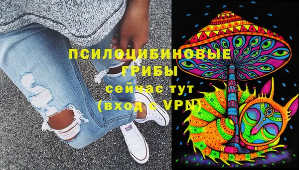 Альфа ПВП Богородицк