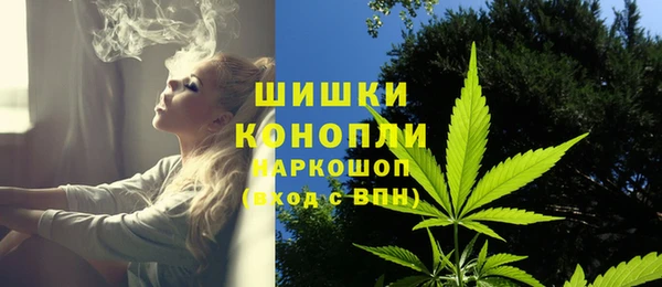 мяу мяу мука Бородино